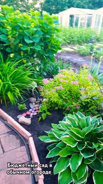 сад в огороде своими руками смотреть онлайн