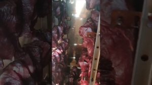 🥶😱Коптильня Москит отзыв пользователя!