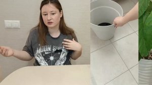 КАК ОЖИВИТЬ АВОКАДО? Если листья сухие...