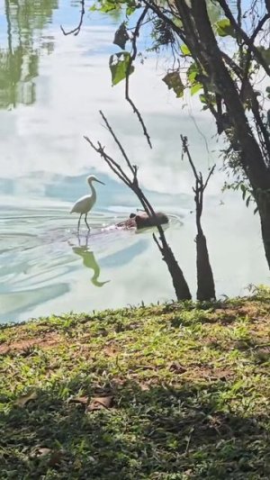 Врываемся в майские выходные!