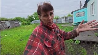 Всех разделили. Хлопочу на кухне, пересадила цветок смотреть онлайн