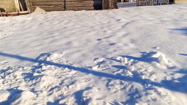 Погода и огород 2024. 11. 26 смотреть онлайн