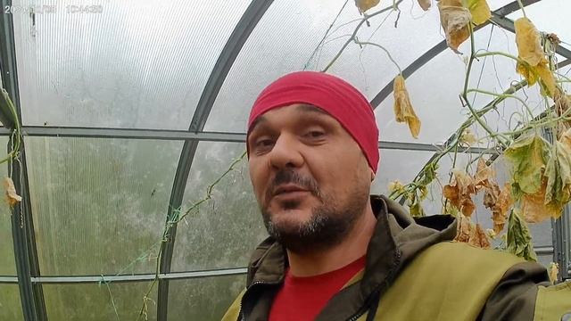 Серная шашка в парник из поликарбоната. смотреть онлайн