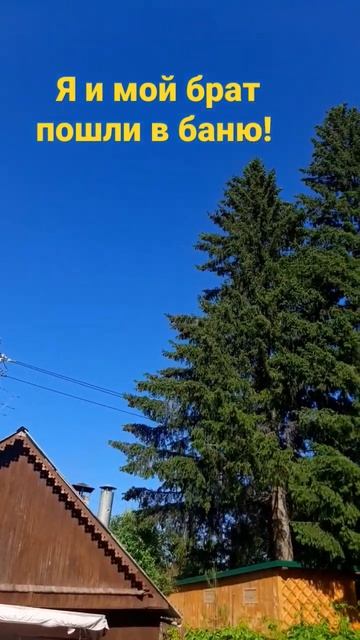 Пошли в баню на даче!#хочуврек#природа#лето#nature#дача#ка смотреть онлайн