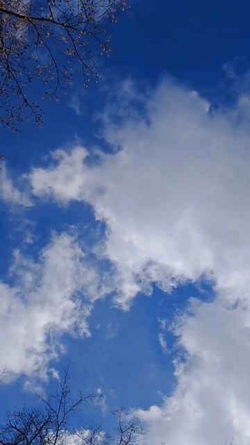 23 февраля 2025 г.