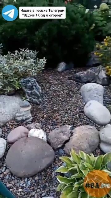 Что делать чтобы не полоть сорняки. #дача #огород #сад #? смотреть онлайн