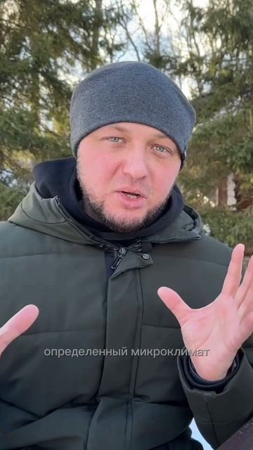 Основные плюсы деревянного дома #архитектура #дом #бру