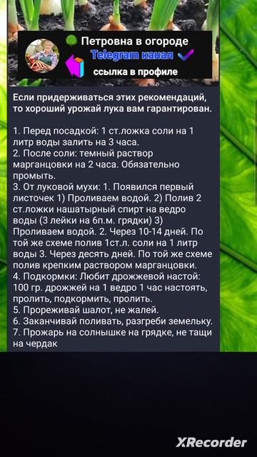 🌱 Выращивание ЛУКА. От А до Я смотреть онлайн