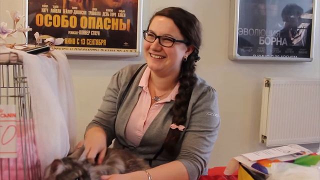 Выставка кошек смотреть онлайн