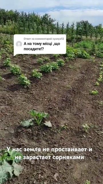 У нас земля не простаивает и не зарастает сорняками смотреть онлайн