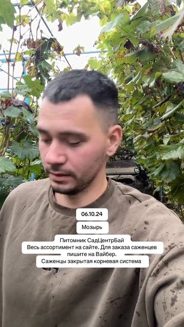 Мозырь питомник растений сад центр бай #мозырь #садово смотреть онлайн