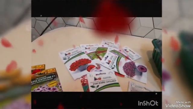 Рассада Петунии на 2025 год. смотреть онлайн