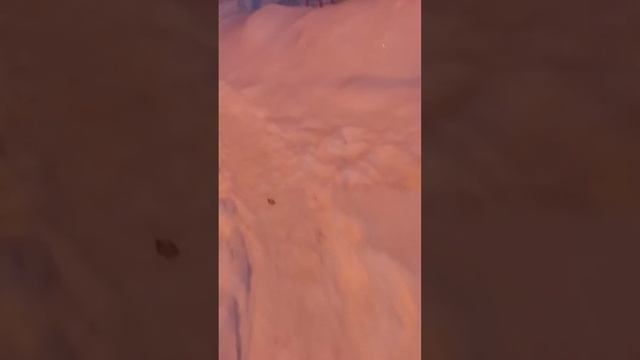 КАМИНА  САМАРА