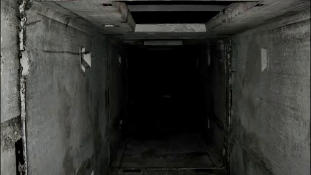 Страшные истории на ночь - Подвал | Perpetuumworld