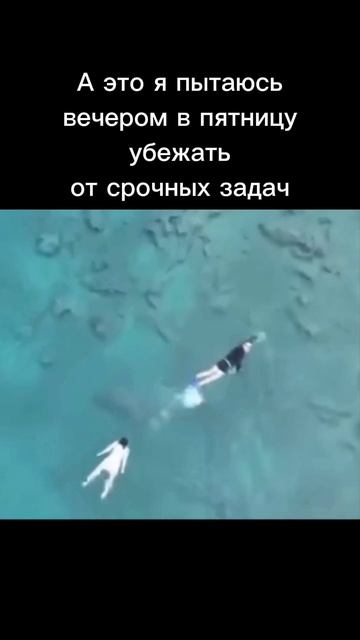 Не убегайте от срочных задач! Техэксперт поможет работать без режима 