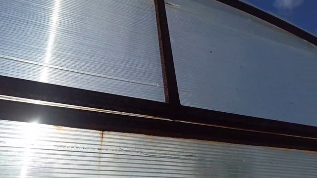 Первые разочарования этого года😒2 Ая теплица 5.03.25г. смотреть онлайн