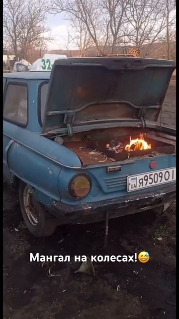 Мангал на колесах!😅 #заз #авто #україна #мангал