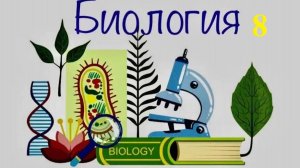 8 класс_Б_7.05_62_Животные природных зон