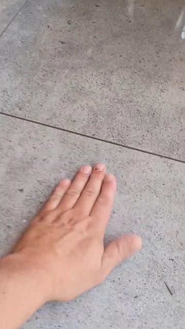 Вечный конденсат на полу веранды. Точка росы. смотреть онлайн