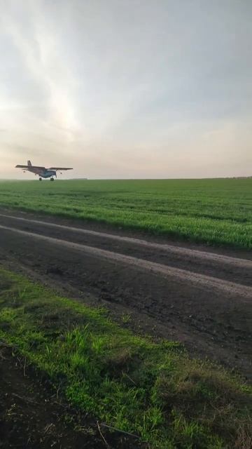 Обработка посевов авиацией #shorts смотреть онлайн