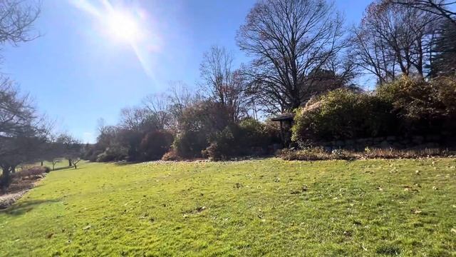 ПАРКОВАЯ ЗОНА ПОМЕСТЬЯ SKYLAND ❤️🇺🇸🏰🌲