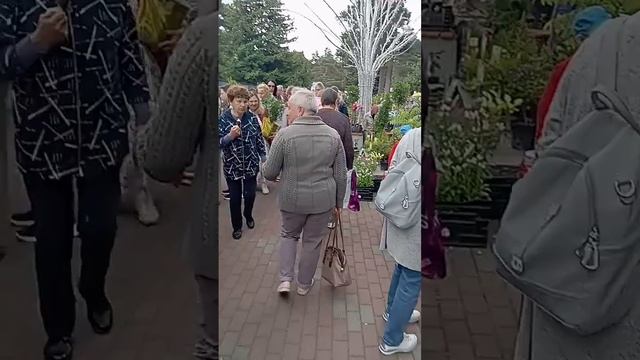 В Челябинске проходит 21-я ежегодная выставка цветов и смотреть онлайн