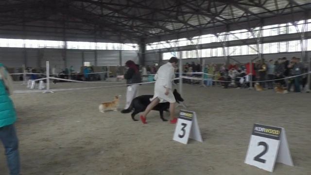 Том смотреть онлайн