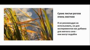 Сырье для выращивания вешенок. На чем лучше выращиват?