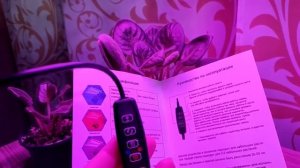 Лучшая фитолампа для растений: полный обзор и тестиро?