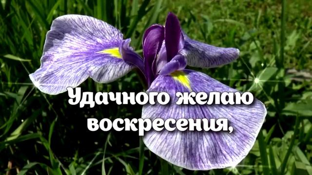 С Добрым утром, друзья! смотреть онлайн
