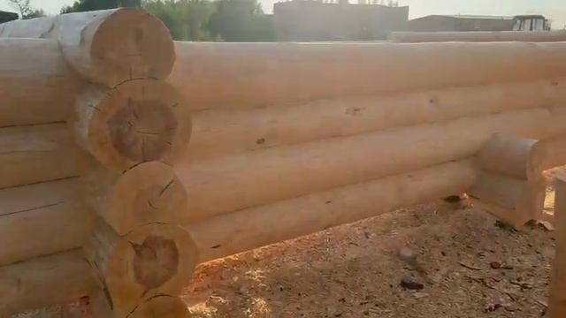 Сруб для бани 6 на 6 метров, соединение «в чашу» смотреть онлайн