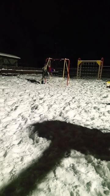 задние сальто с качели смотреть онлайн