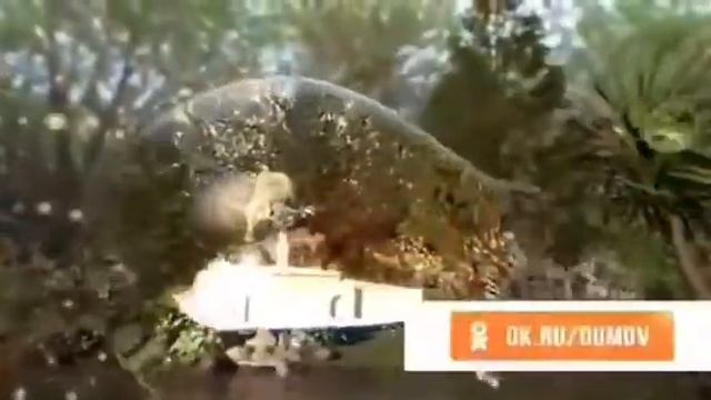 салавот смотреть онлайн