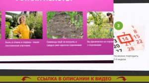 КАКИЕ ГЕРБИЦИДЫ ПРИМЕНЯЮТ ПРИ ВЫРАЩИВАНИИ ЛУКА 👌