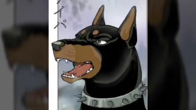 Подборка картинок смотреть онлайн