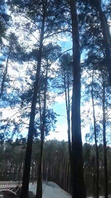 качели смотреть онлайн