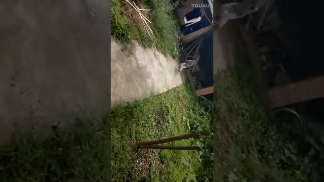 Смешные клипы смешные и интересные люди 2 смотреть онлайн
