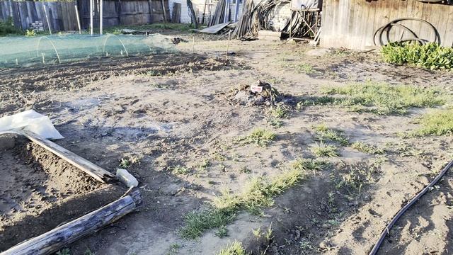 Обычное утро в деревне, на берегу Ахтубы смотреть онлайн