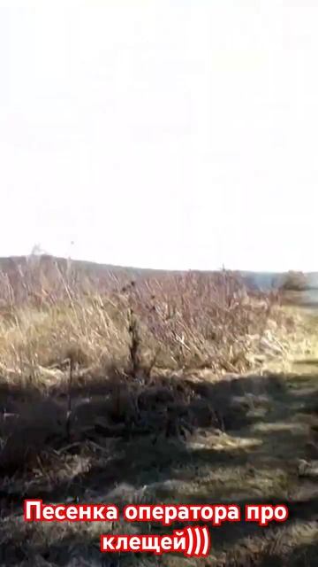 funny song! #song #singer #music #песня #клещи #blogger #юмор #humor #jokes #status # смотреть онлайн