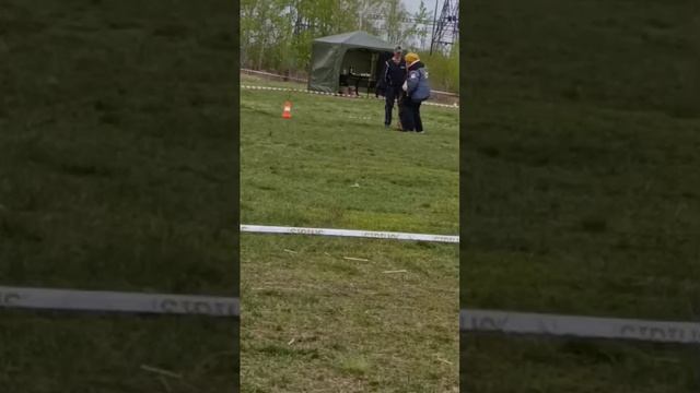 1 Отл. КЧК Аллемо Хаус ЕЛИЗАРА +++ №115 / КЧК ЧЕЛЯБИНСК 3 мая`25 I.Radulovic Моно нем.овчарок