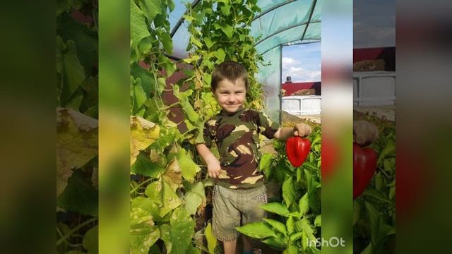 Во саду ли, в огороде, воспитатель Ахваткина С А смотреть онлайн