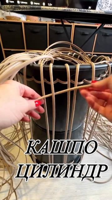 Кашпо цилиндр для петунии #петуния #сад #петунии #цветы