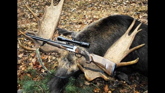 Як що б Земля була людиною