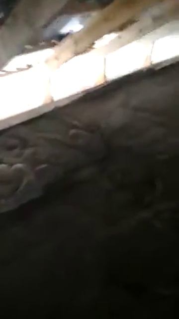 Утепление крыши Шымкент 8- 707- 254 - 65 - 29 качество 100% ✅ смотреть онлайн