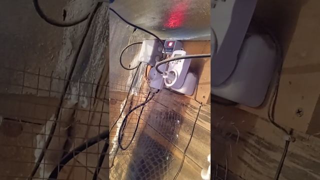 Бюджетный курятник смотреть онлайн