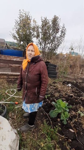 у мамки спрашиваем совета делать крышу сарая или нет смотреть онлайн