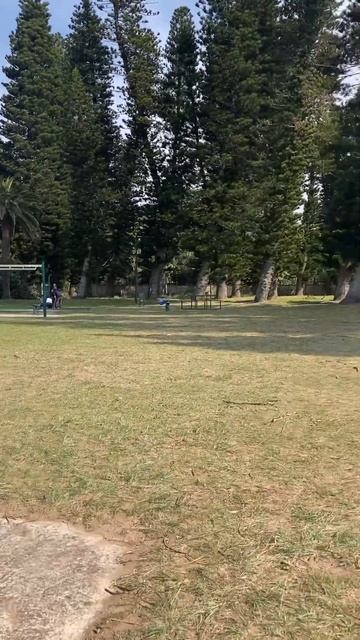 Пришли на Африканскую детскую площадку.🥳 #funny #africa смотреть онлайн