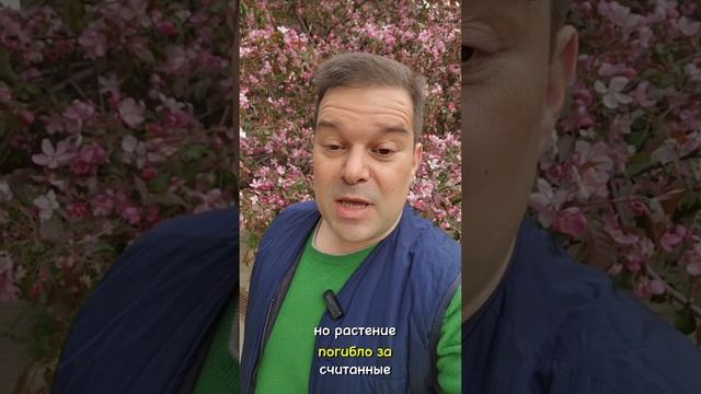 Отметим день хищных растений? 🪴