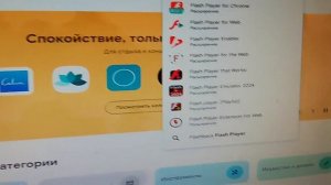 Как включить adobe flash player в 2024 году?