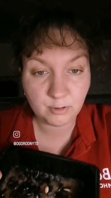 Что выращиваете зимой? Мы микрозелень🙂 смотреть онлайн